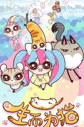 武强衡水网站优化公司